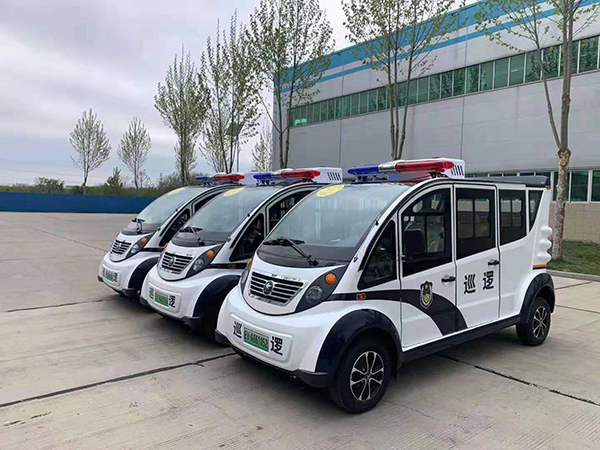 海南省儋州市采购电动巡逻车(图2)