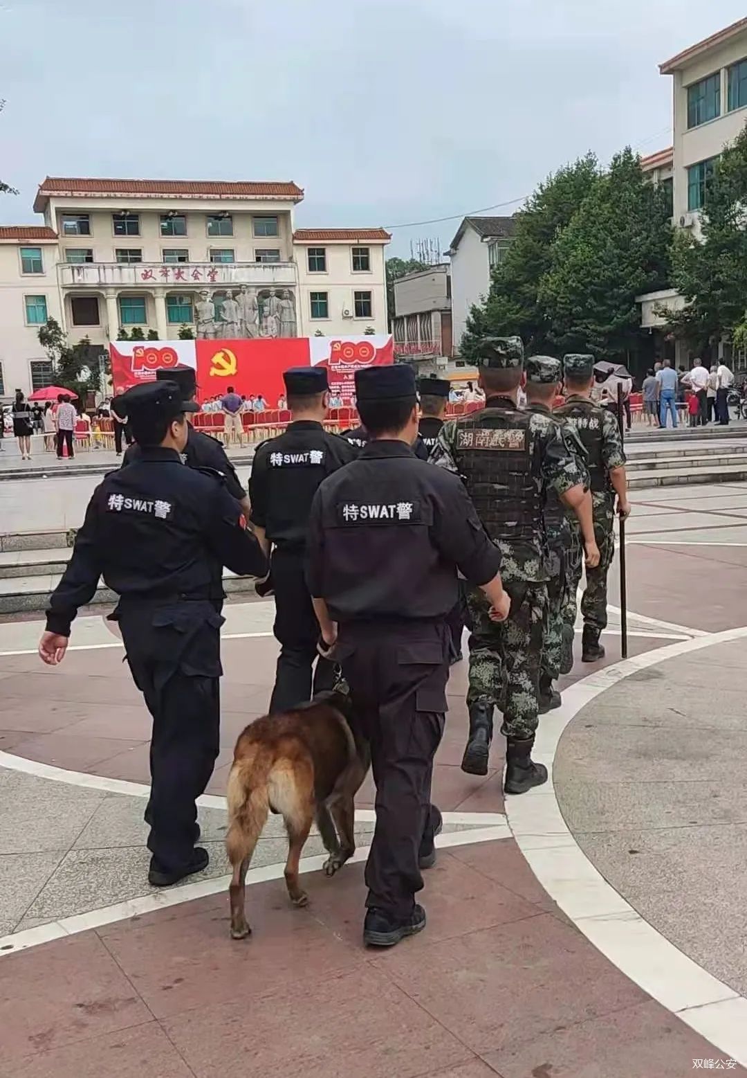 【湖南娄底】巡逻警犬已上岗，给你满满安全感！(图1)