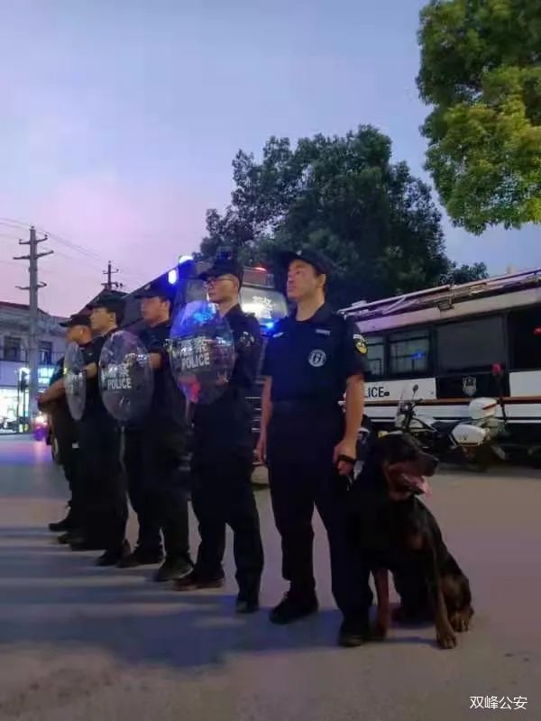 【湖南娄底】巡逻警犬已上岗，给你满满安全感！(图2)