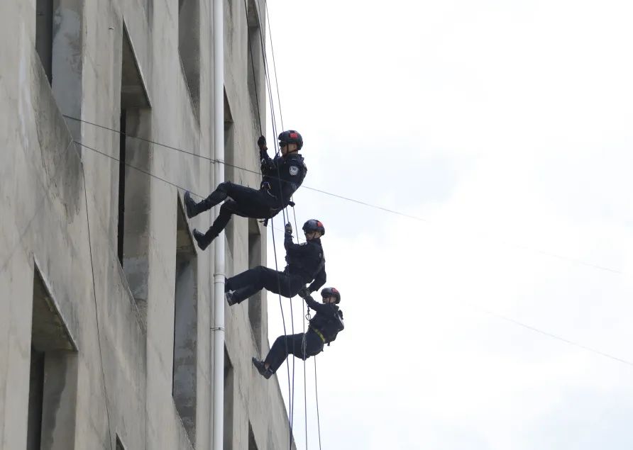 森源鸿马通信指挥车圆满完成2023年河南公安巡特警南部协作区跨区域拉动演练(图4) 森源鸿马通信指挥车圆满完成2023年河南公安巡特警南部协作区跨区域拉动演练(图4)