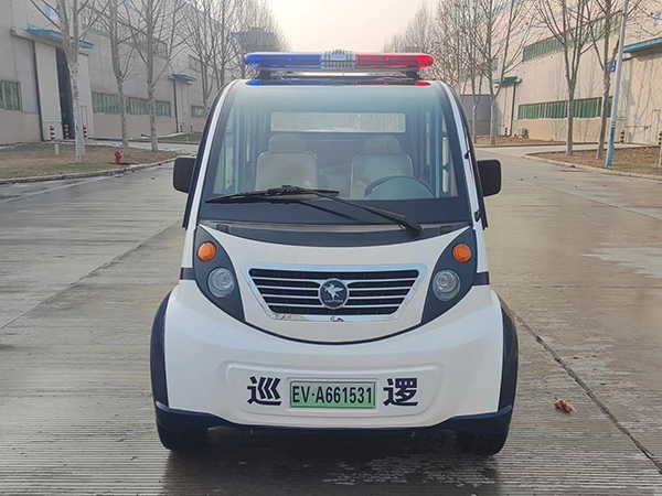 森源鸿马电动巡逻车发往山西(图1)